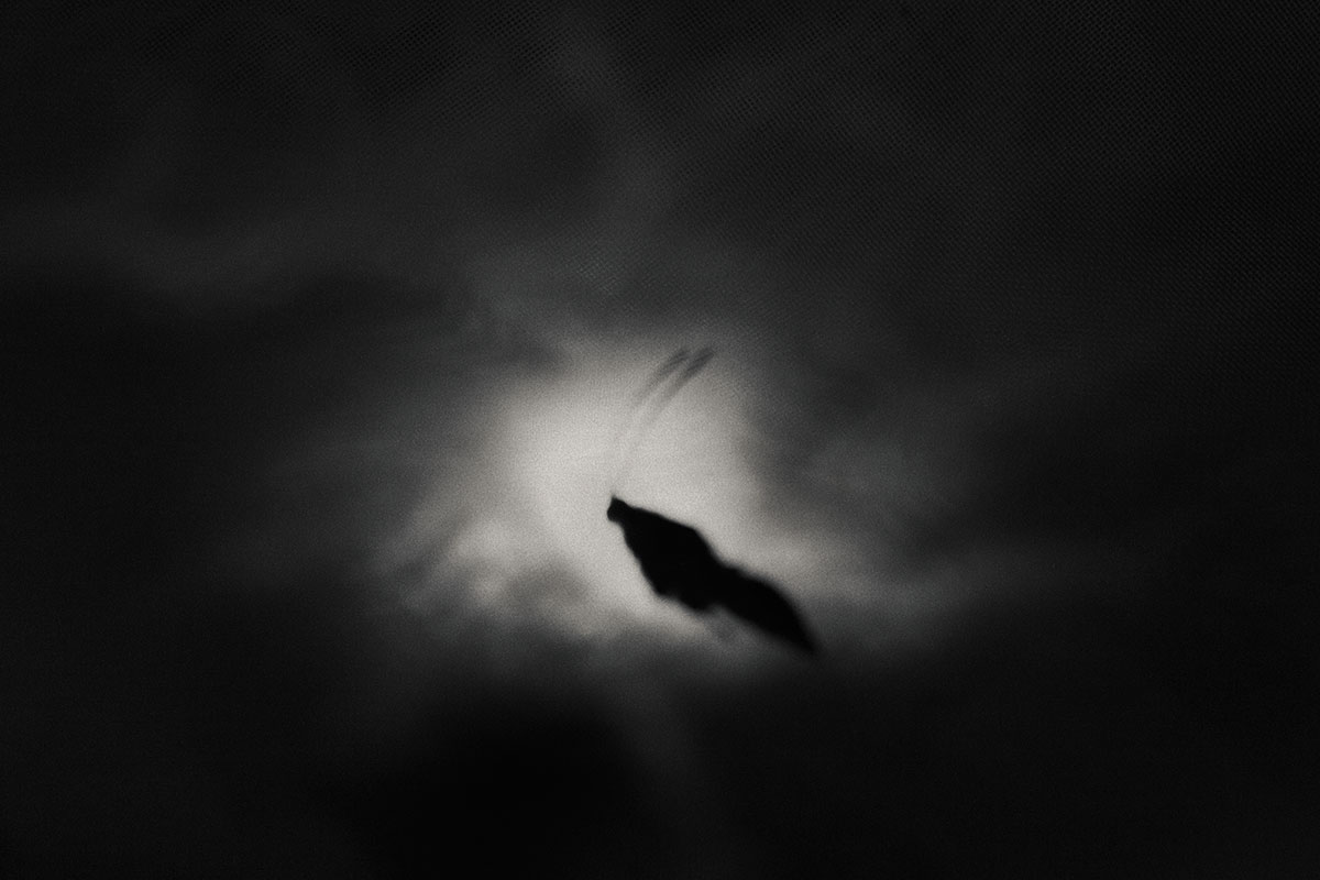 Entropy_Image_09.jpg
