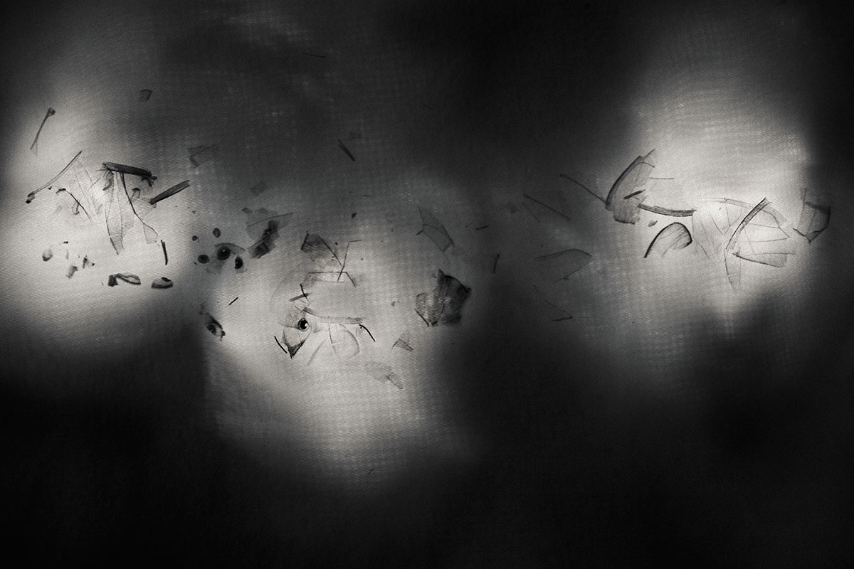 Entropy_Image_11_Finalb_debris.jpg