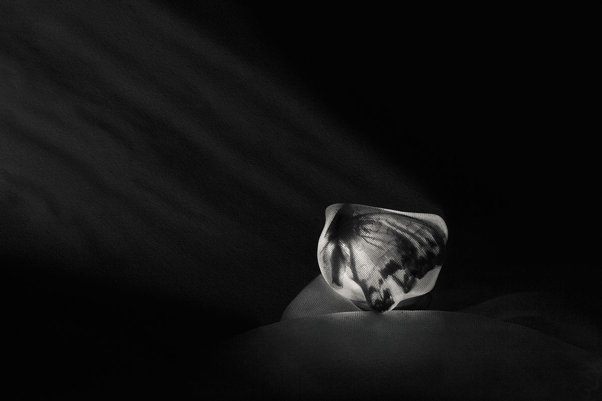 Entropy_Image_02_Cocoon.jpg