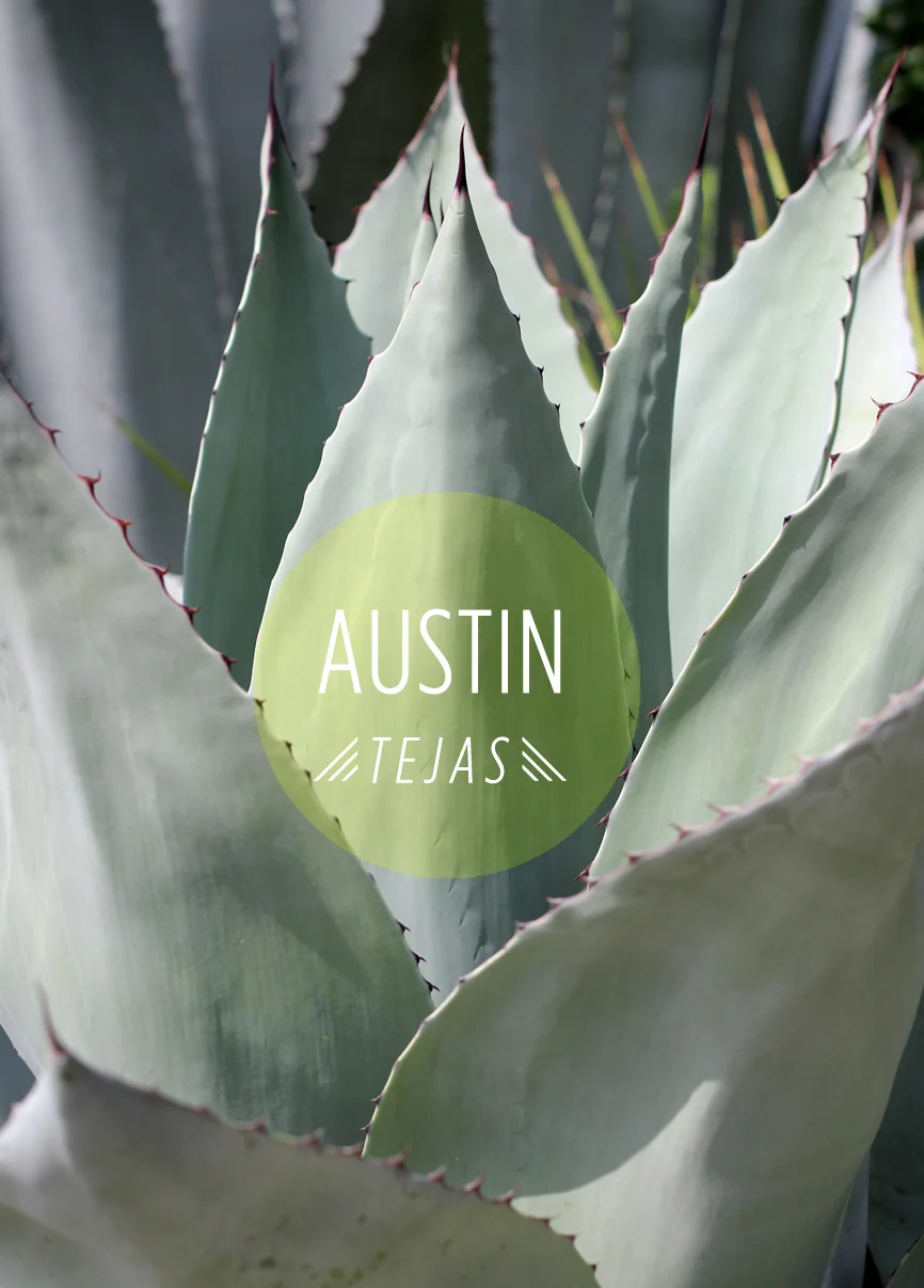 We took a much needed vacation to visit friends in Austin, and had the best time. First of all, staying at Casa Grant with our friends Shannon and Danielle (and Shaye-bear, Dayne-o and Quinn) is paradise. We kicked off the trip with an immediate game of evening kickball, boys against girls, natch'.