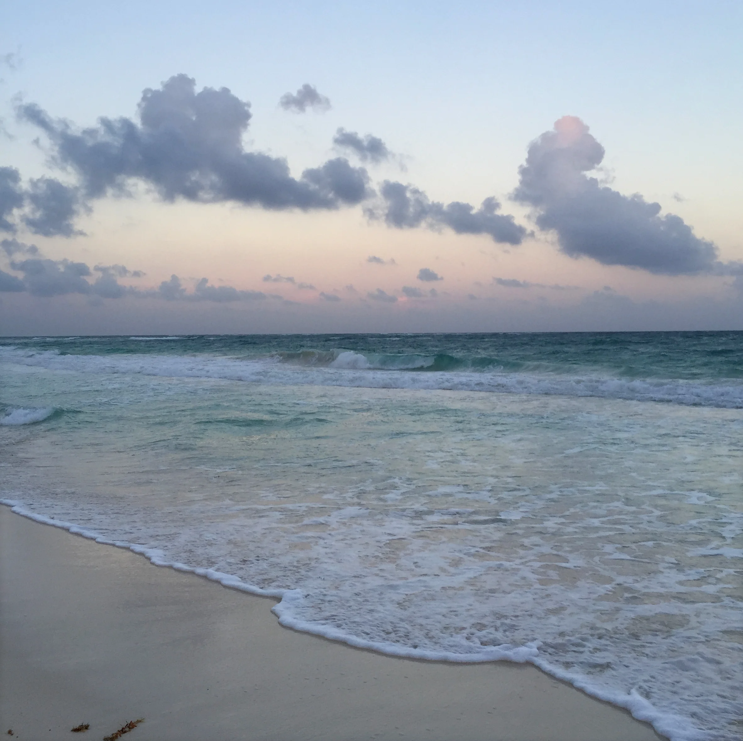 And then minutes later the gold is gone and the sky and water turns pink and purple, the sand stingray gray.