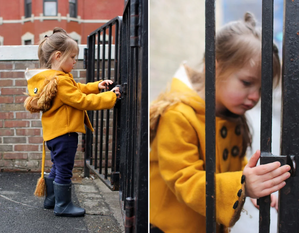 This age, where nothing is more interesting than a gate you can open and close, lock and unlock, hide behind and look through.