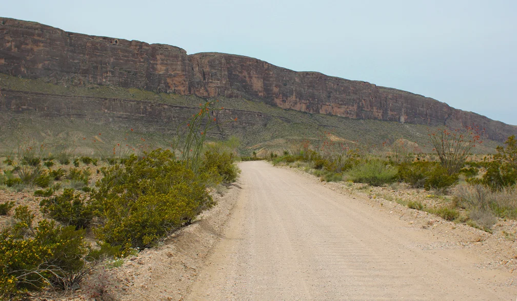  The last seven miles through the park were unpaved along Old Maverick Road. It was one of our favorite stretches of the park, with a new kind of landscape and an even larger array of colorful cacti flowers and plants.