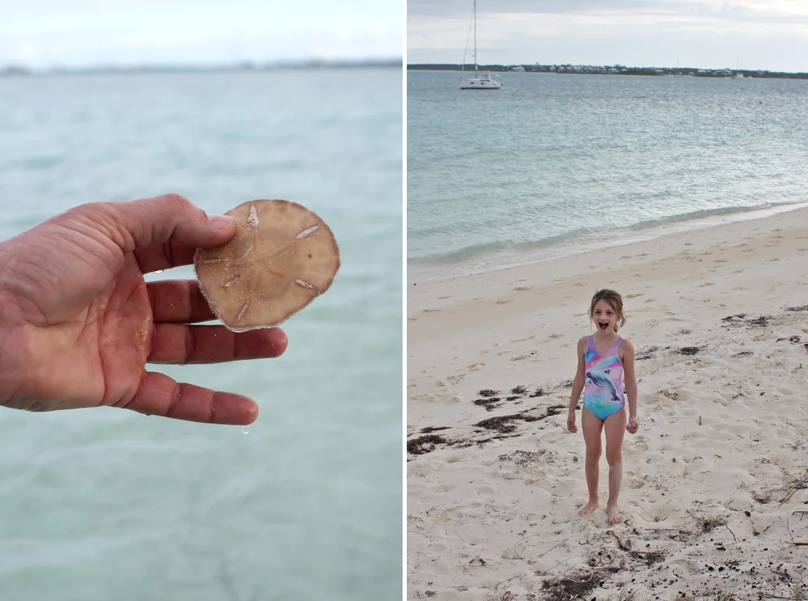 Scott found the sand dollars (again). He learned how to spot them and dig them up. Between the sharks and sting rays and conch and sand dollars, it was so amazing to interact with all this sea life in their natural habitat. (And we didn’t even get to the many nearby sea turtles and dolphins!)