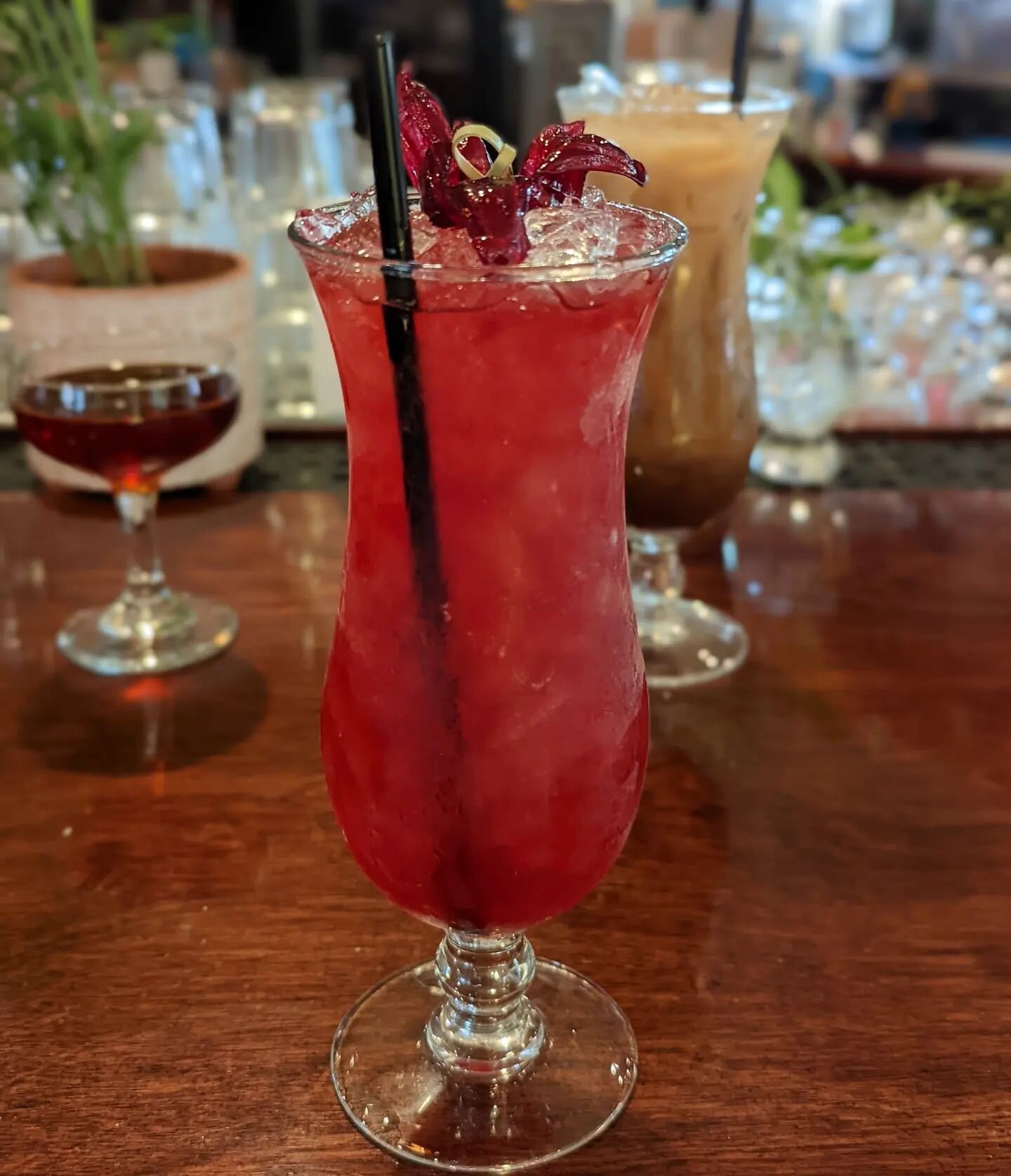 Testing out a cocktail for the upcoming fall and winter menu this week. Jamaican Sorrel Punch from @smugglerscovesf. They mentioned in their book that they had to change it to Jamaican Hibiscus Punch because, sadly, it sold better. What do you think?