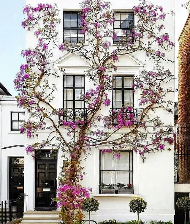 I had to share this home with everyone that love things you dont see every day. This home puts life into perspective; in which when you surround yourself with great and positive things and people, great and positive things seem to grow or bloom aroun