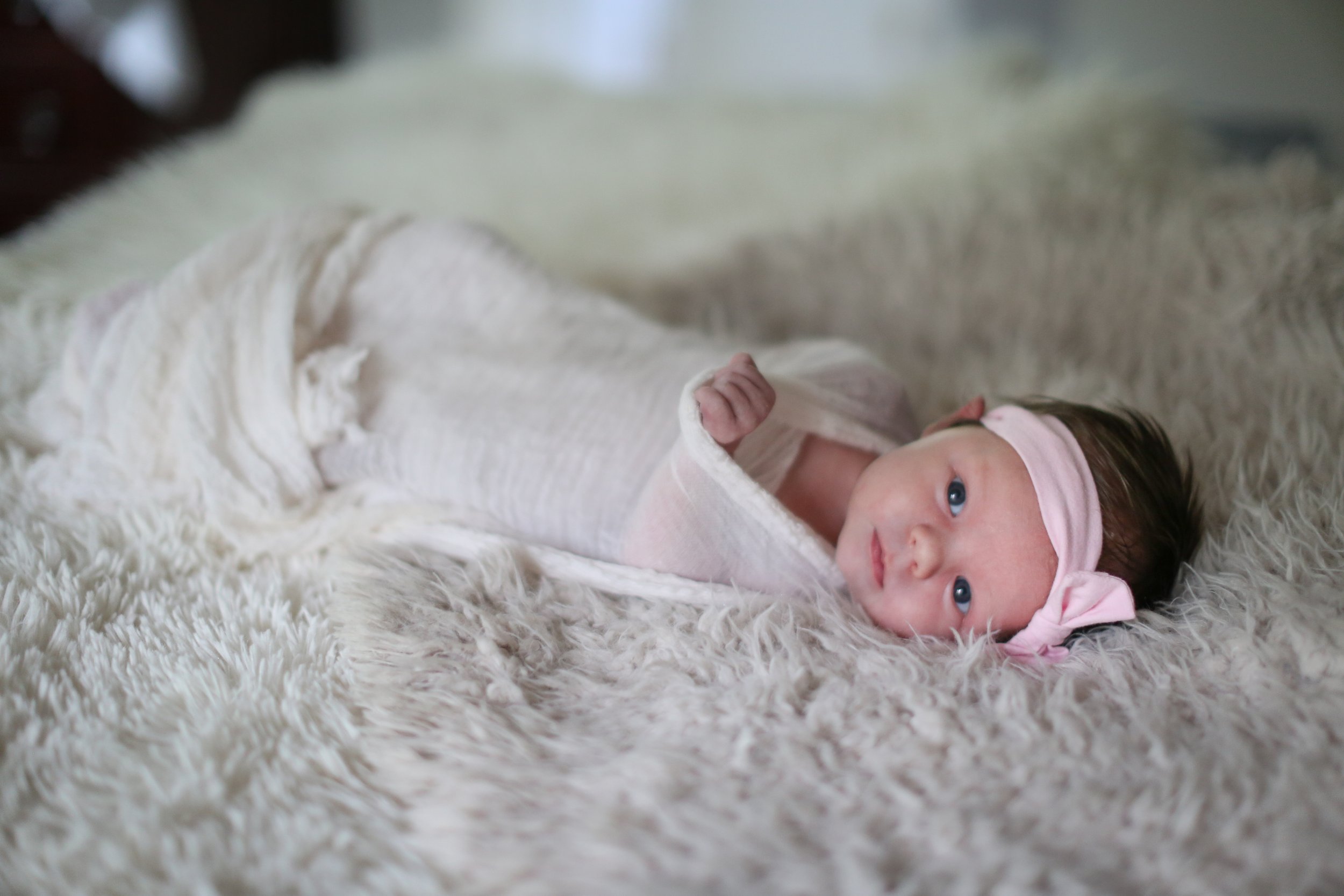  10/2/19  Charlottesville, VA - Everly Ann Newborn photos.Pictured: Photo credit: Amanda Maglione 