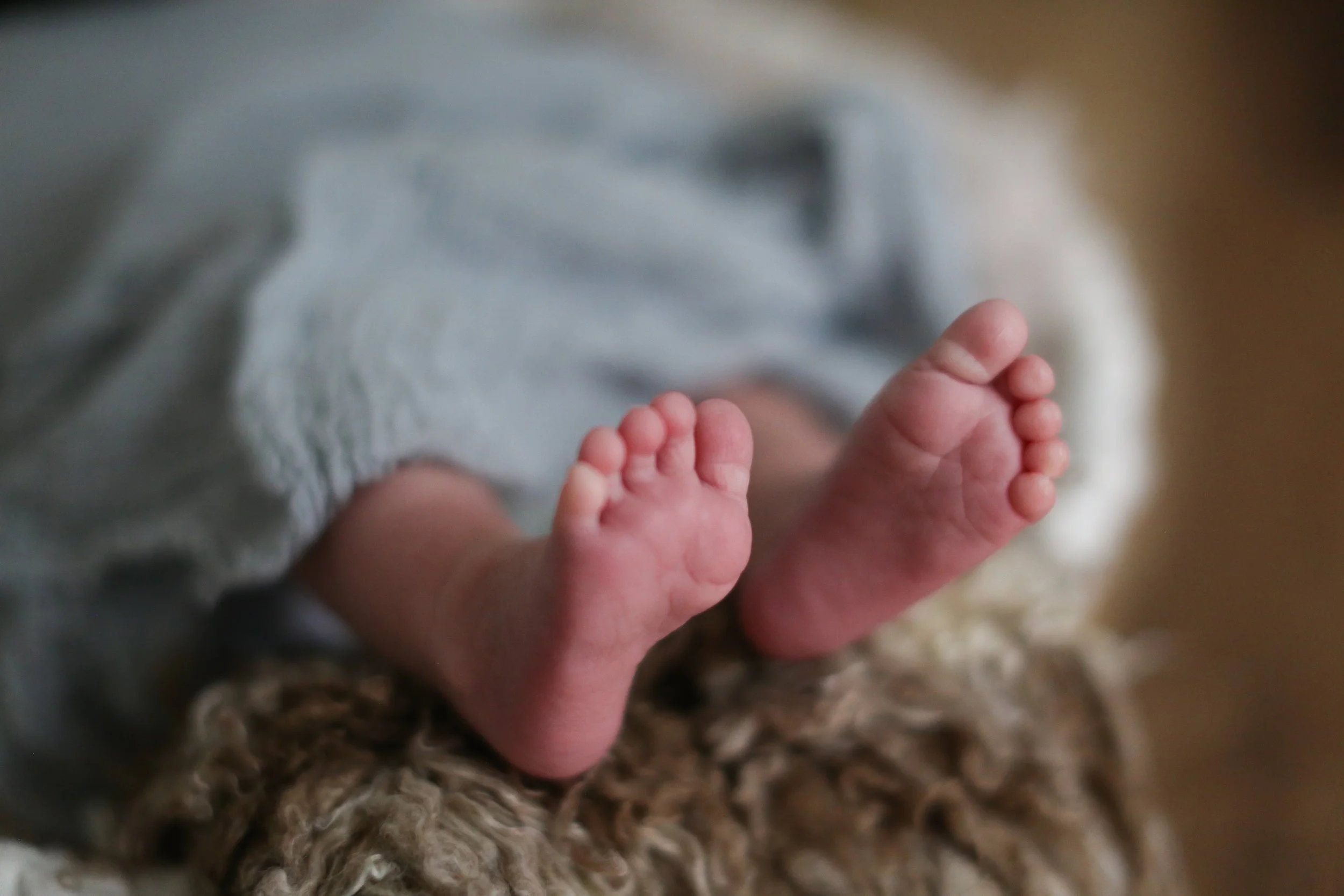  7/2/21 Charlottesville Madelyn Newborn and family photos.Photo credit: Amanda Maglione 