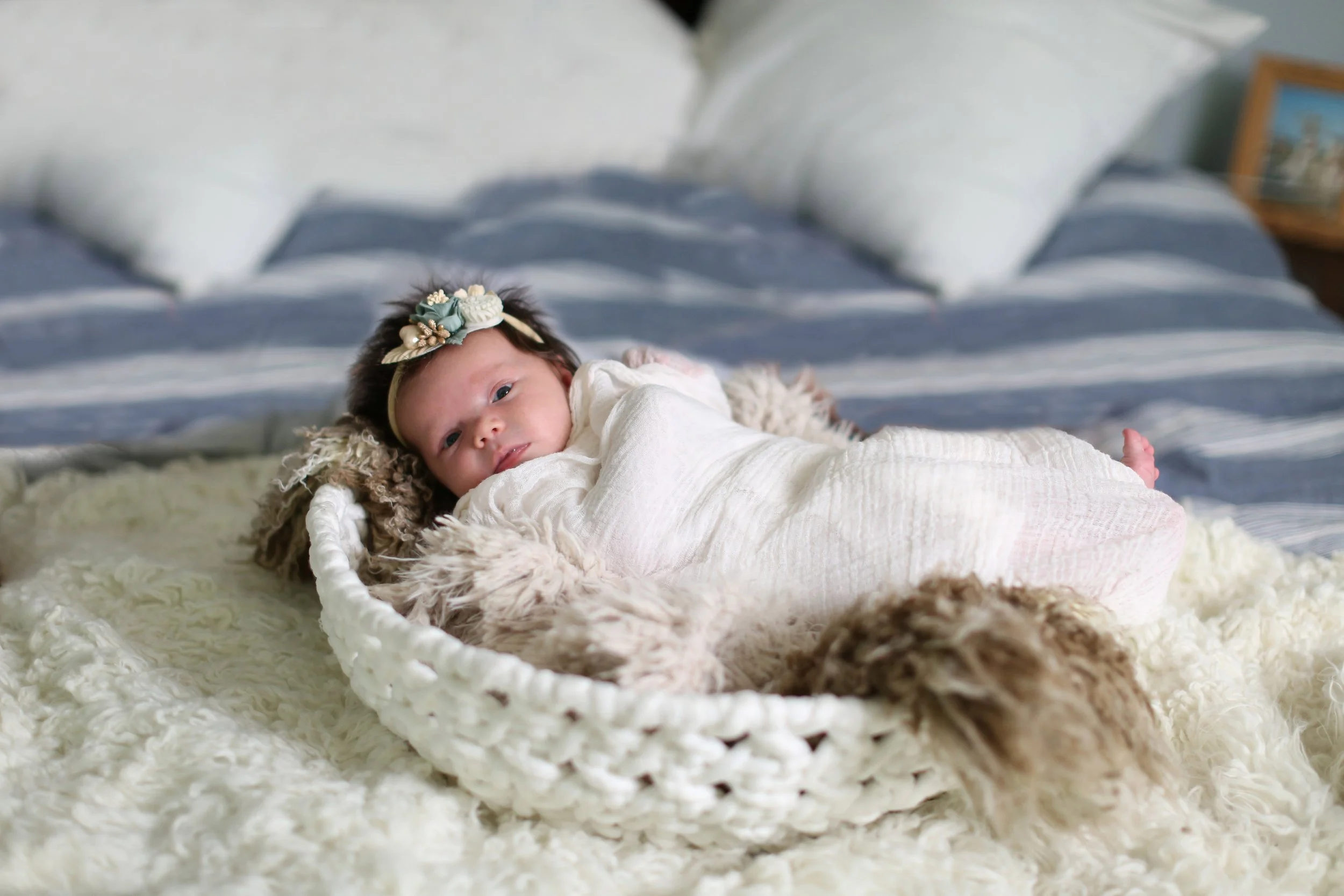  7/2/21 Charlottesville Madelyn Newborn and family photos.Photo credit: Amanda Maglione 