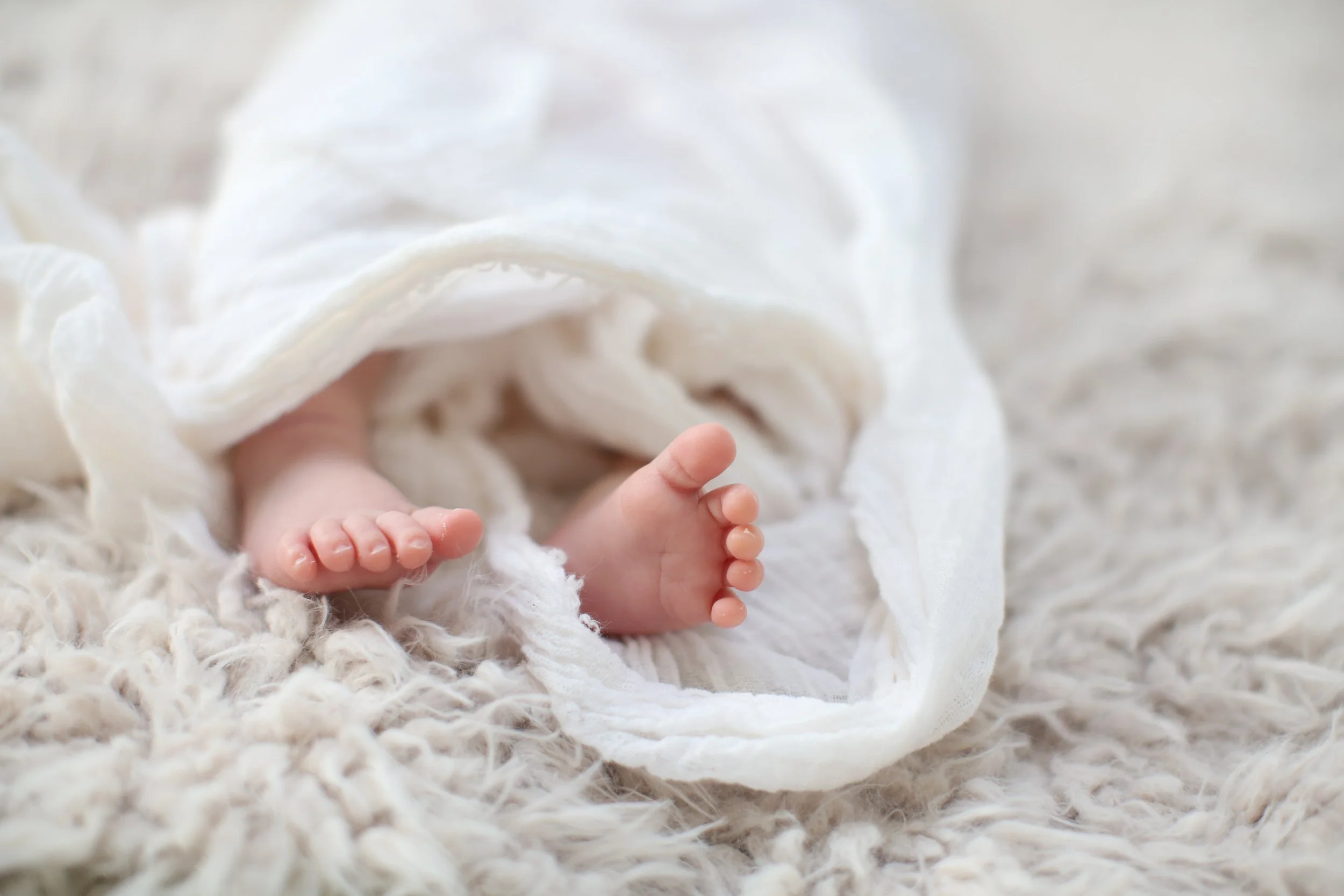  Newborn baby’s feet, loosely wrapped in a white swaddle on a fuzzy furry blanket.Photo by Katherine Penn 