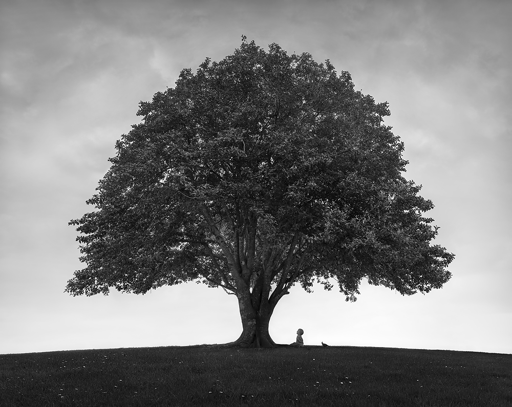 TLC Lachie Tree.jpg