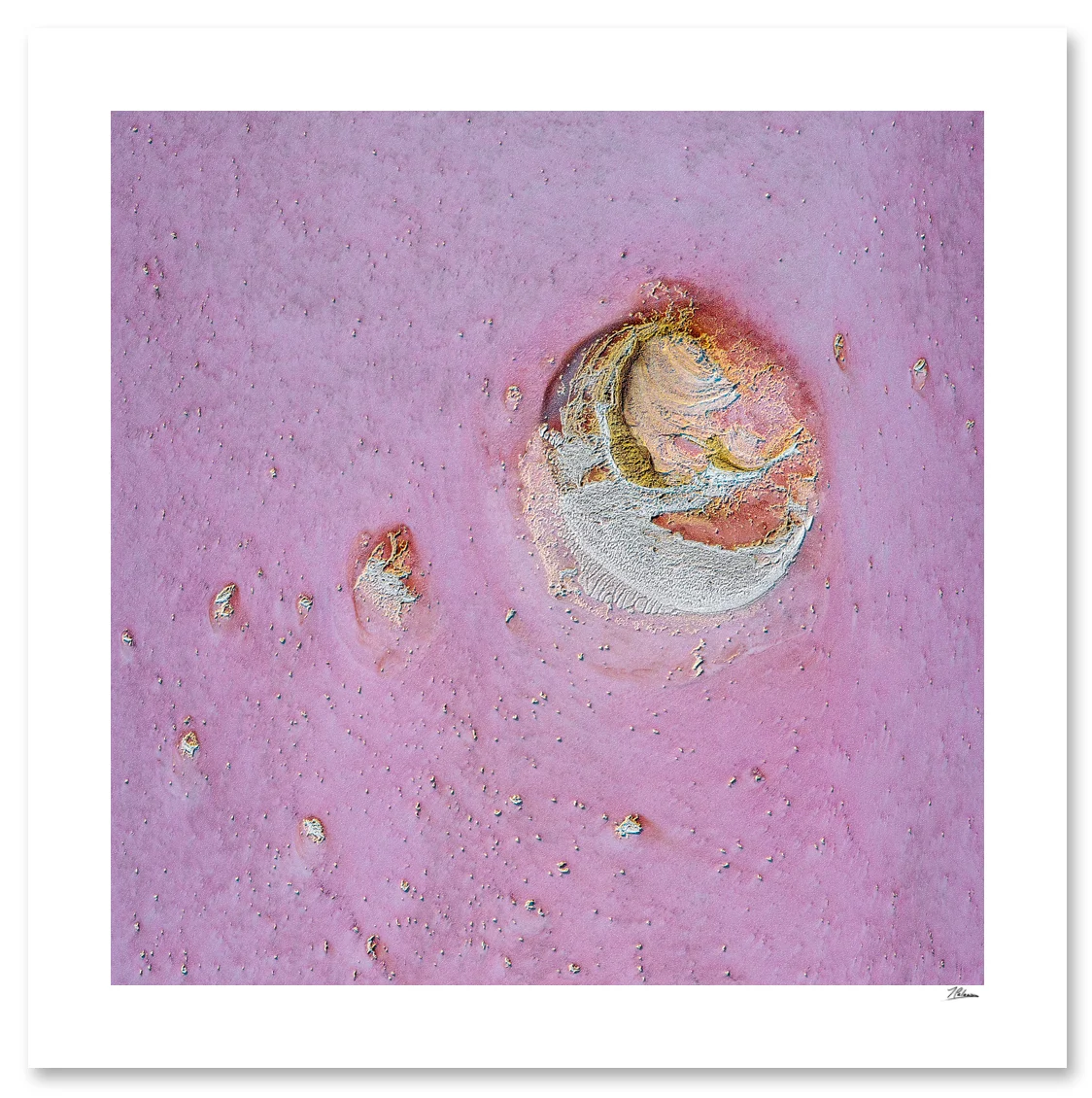 Pink Moon web.jpg