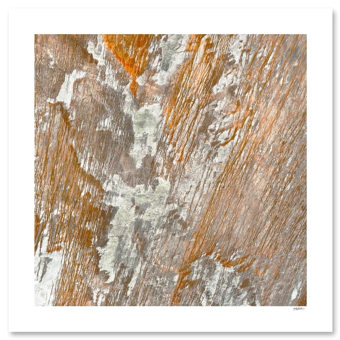 Treacle web.jpg