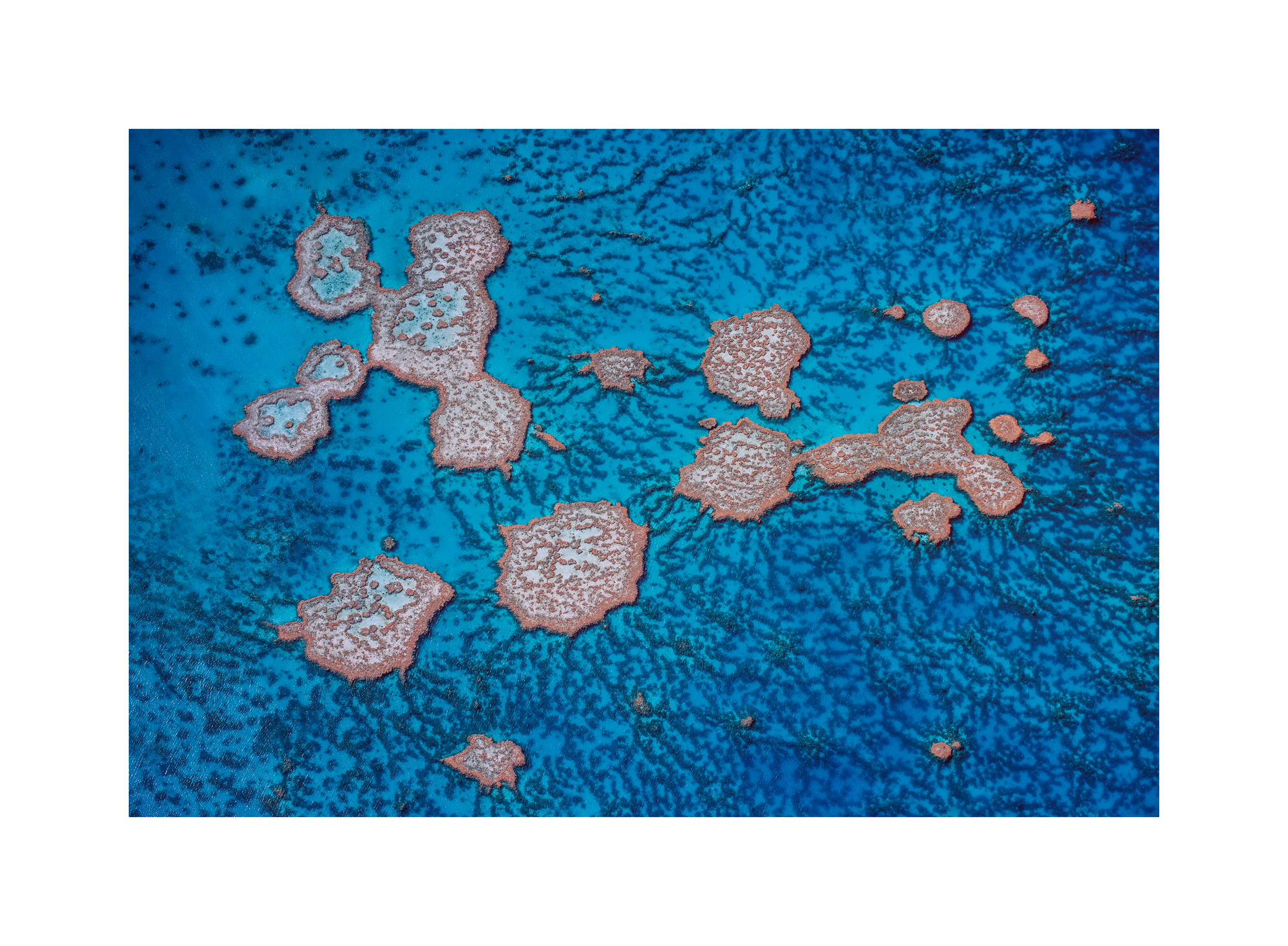 Reef web.jpg