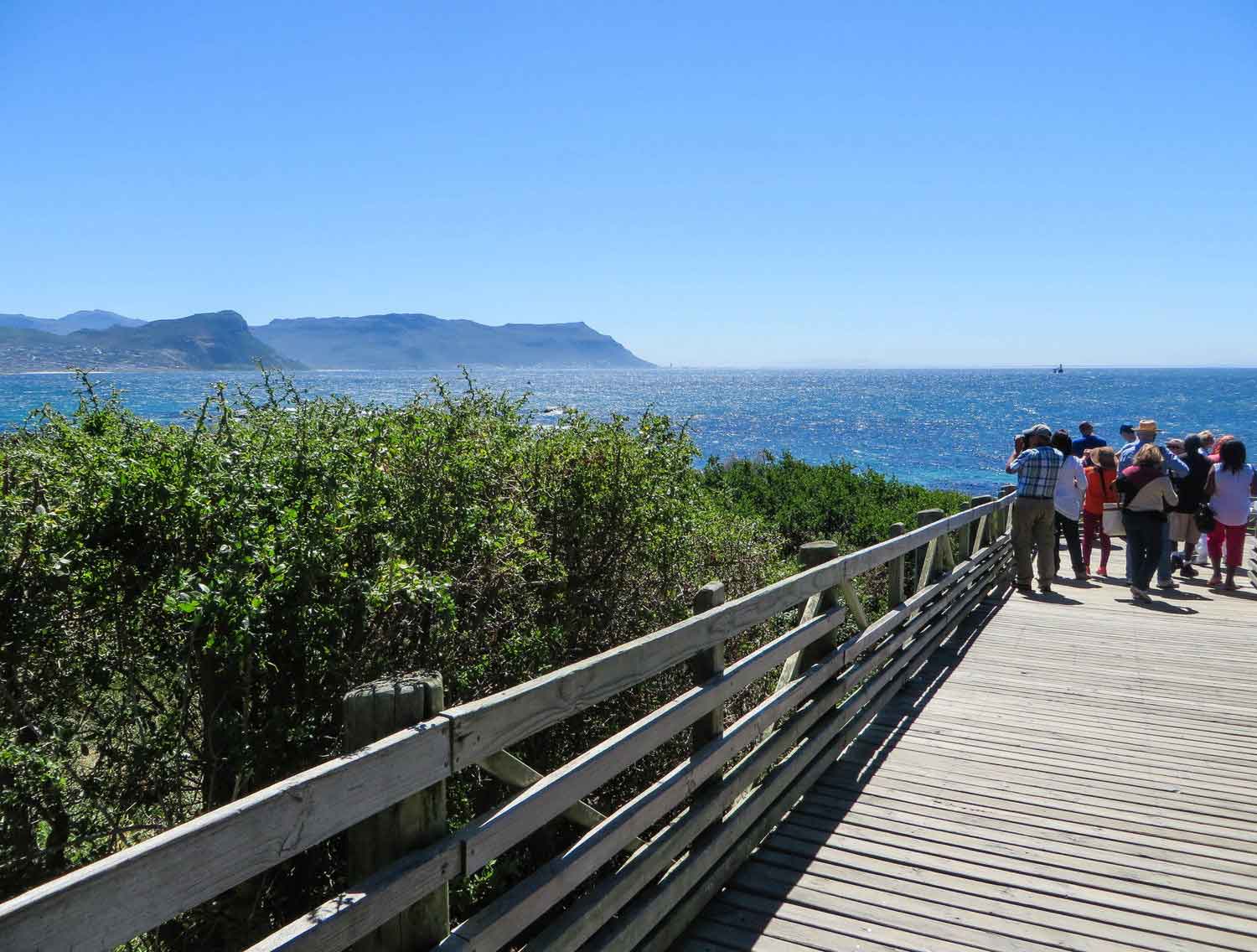 Boulder's Beach South Africa