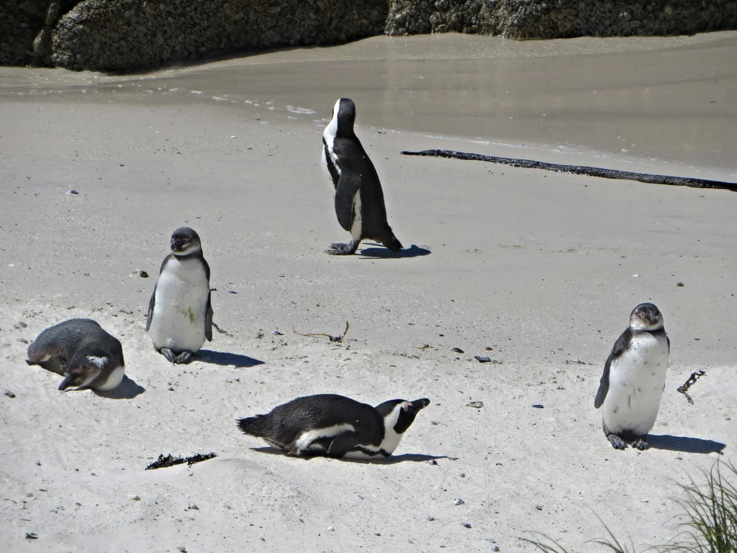 Photo Diary: A Day in the Cape Peninsula