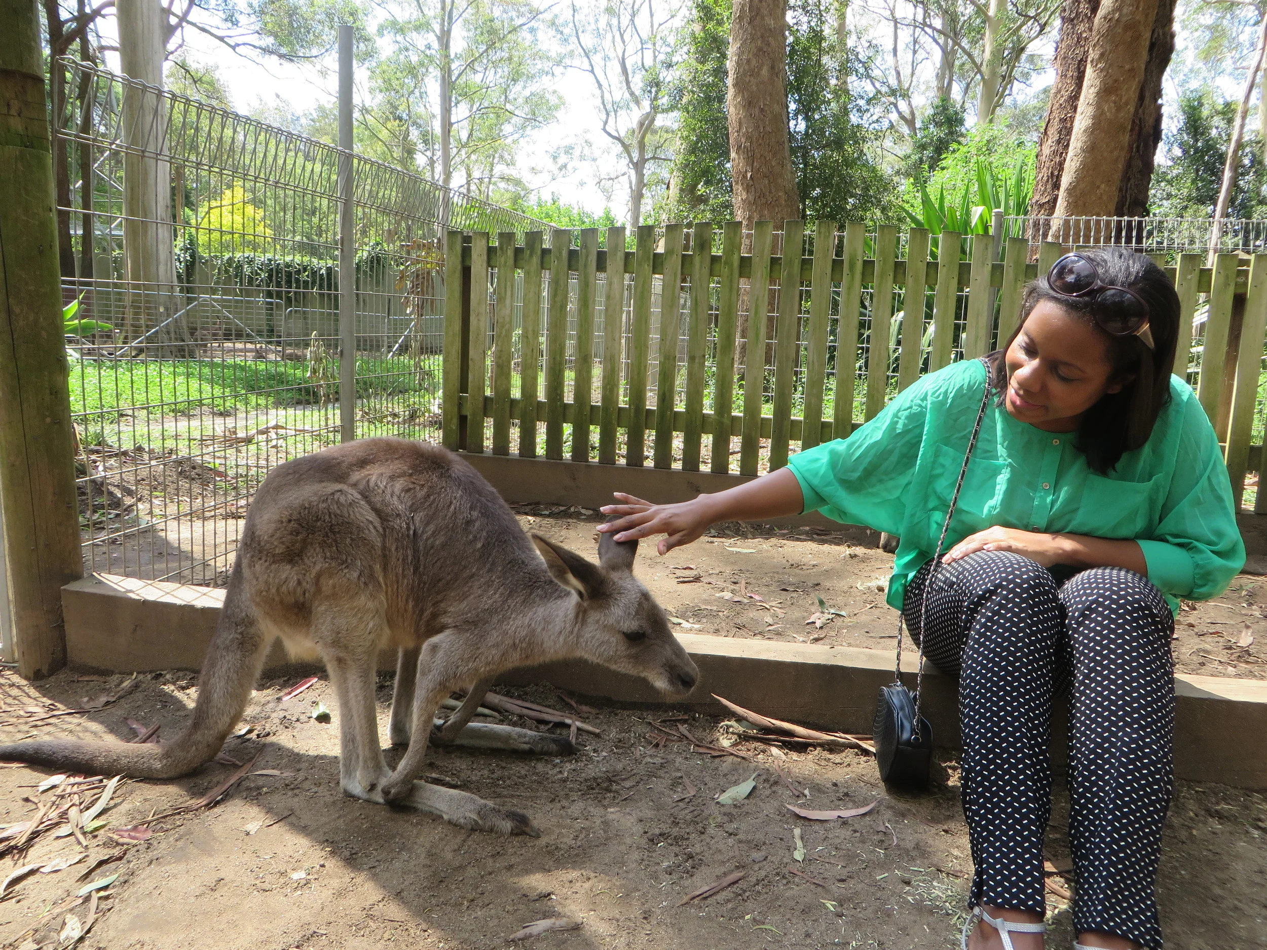Travel Video: Sydney, Australia