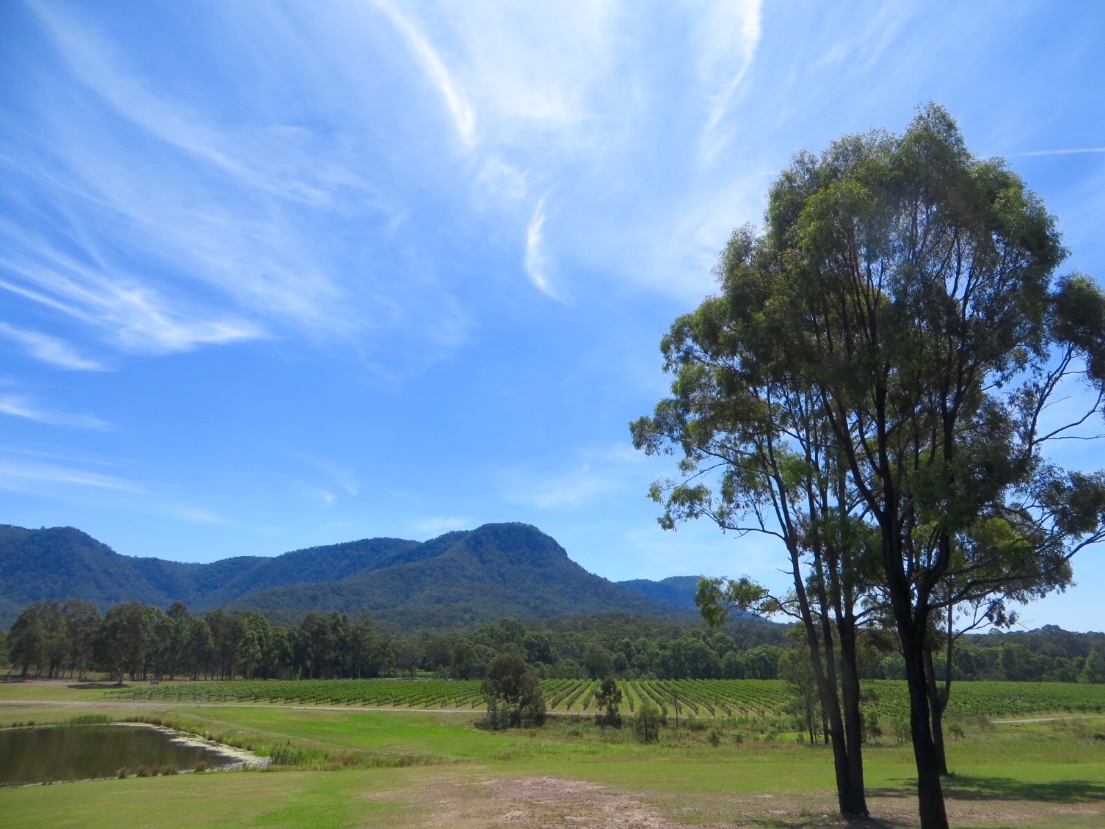 Wine Tasting in Australia's Hunter Valley — The Globe Getter