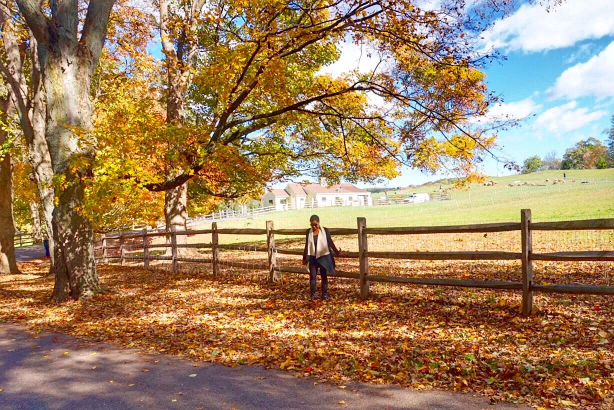 5 Great Places to Experience Fall in New York