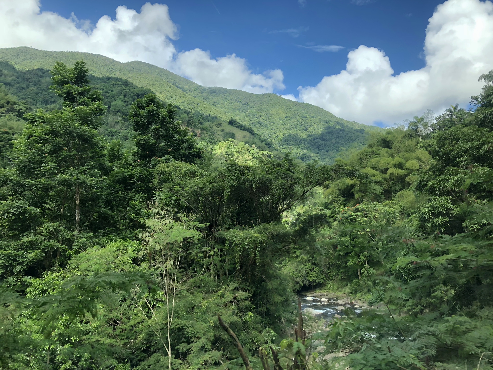 My Bike Tour Through Jamaica's Blue Mountains — The Globe Getter