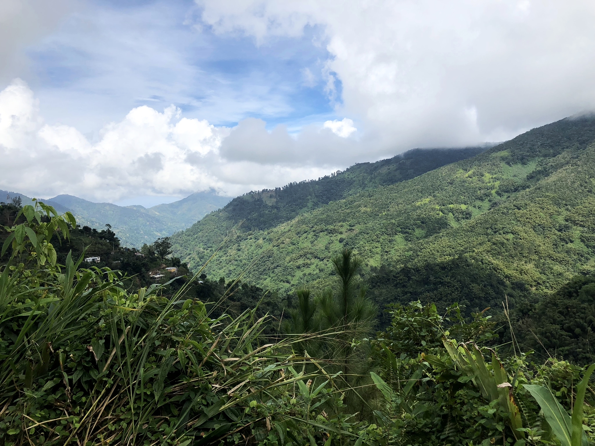 My Bike Tour Through Jamaica's Blue Mountains — The Globe Getter