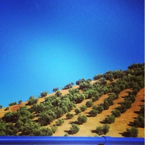 Centre of Andalusia - Carmona and Cordoba enroute to Granada