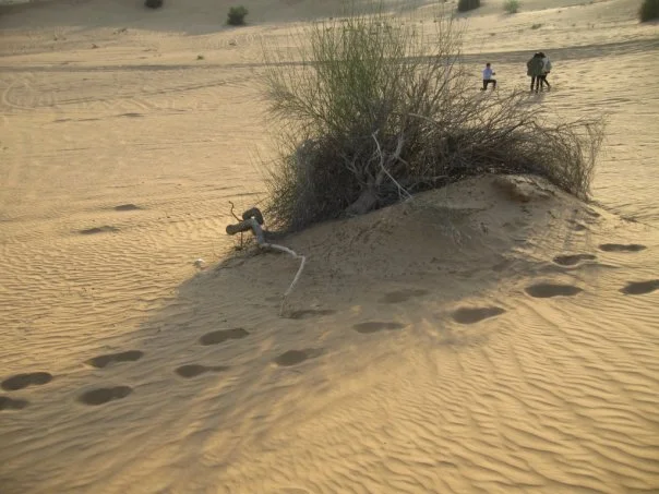 Dubai - the best surprise ever