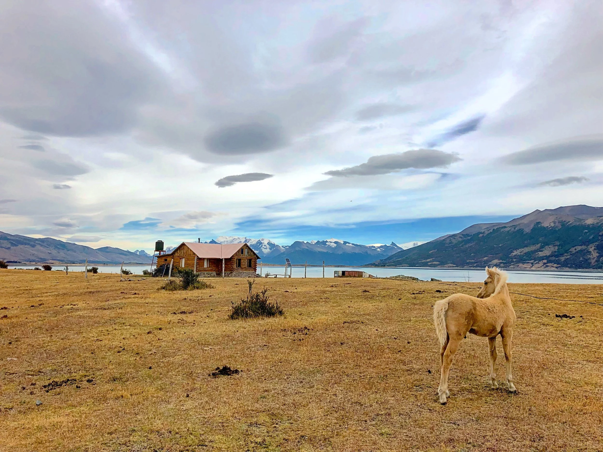 Patagonia - El Calafate I - dest 4 