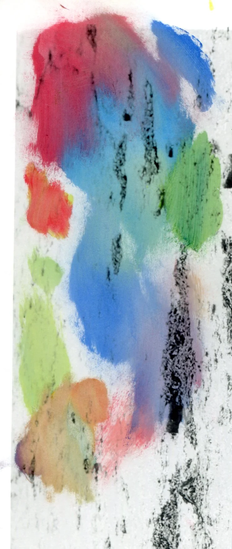  2023 Hand-coloured gelatin silver print 