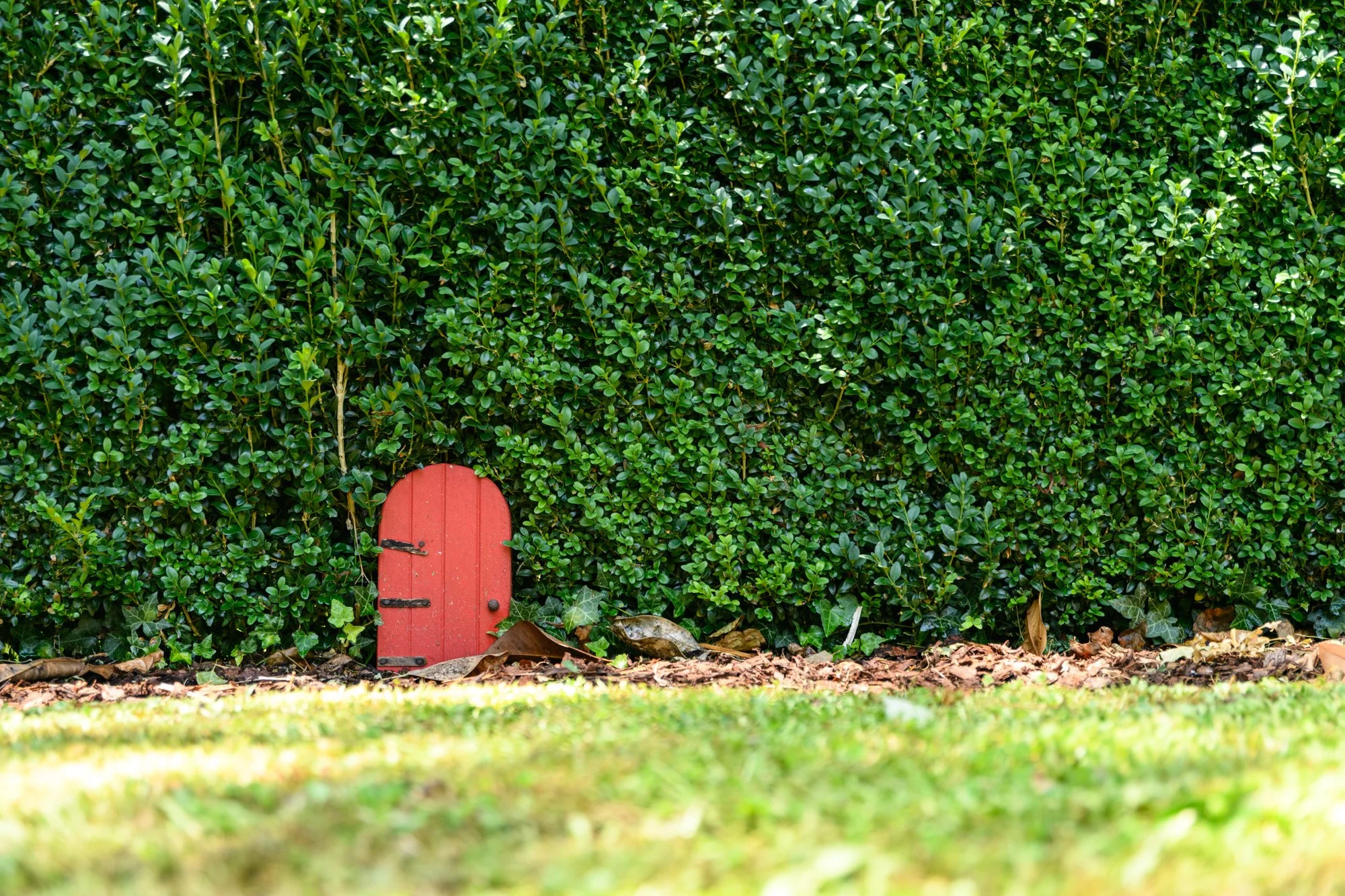 Photos — Azidene House & Spa Apartment Daylesford