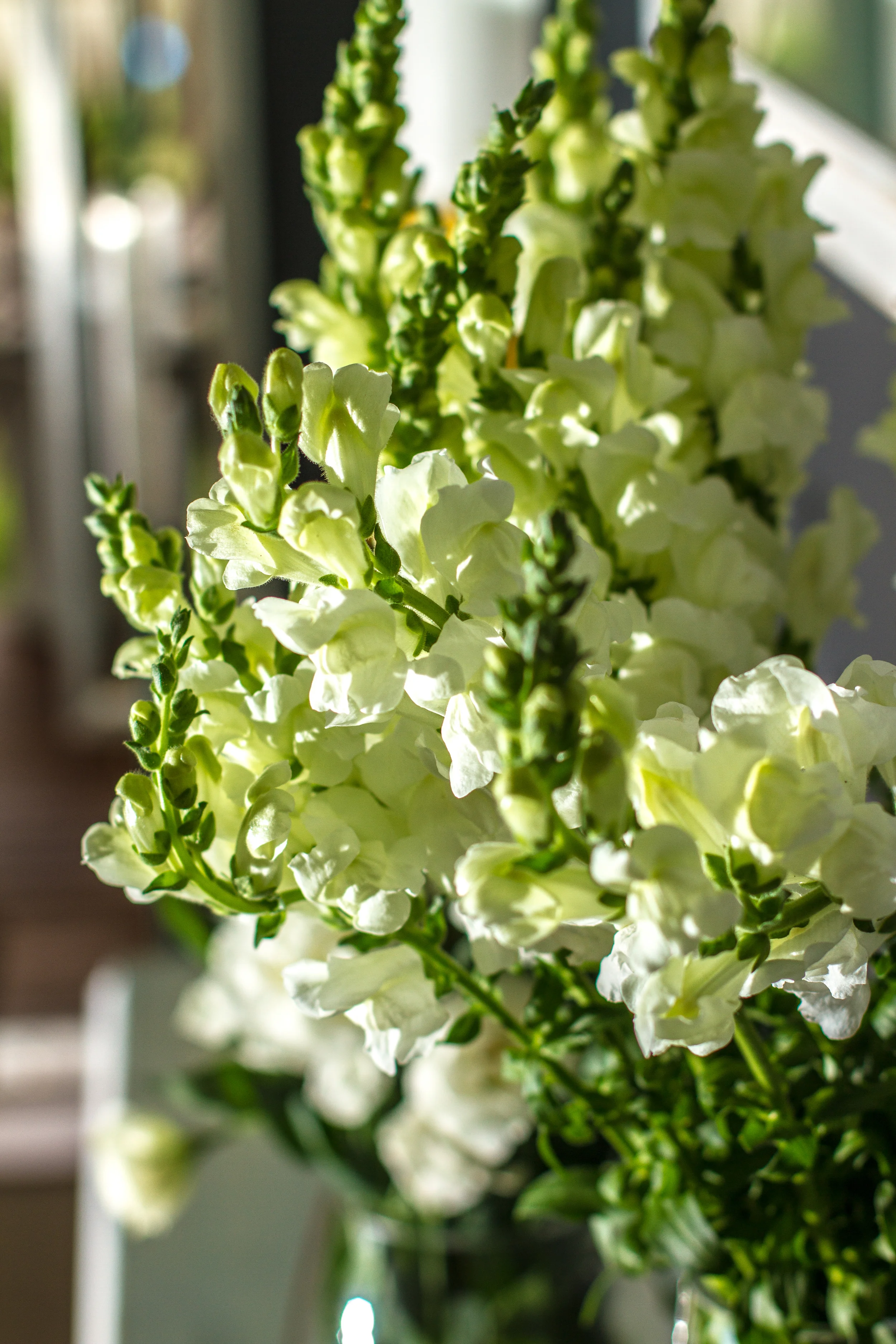 chatswood 1 23.09.JPG