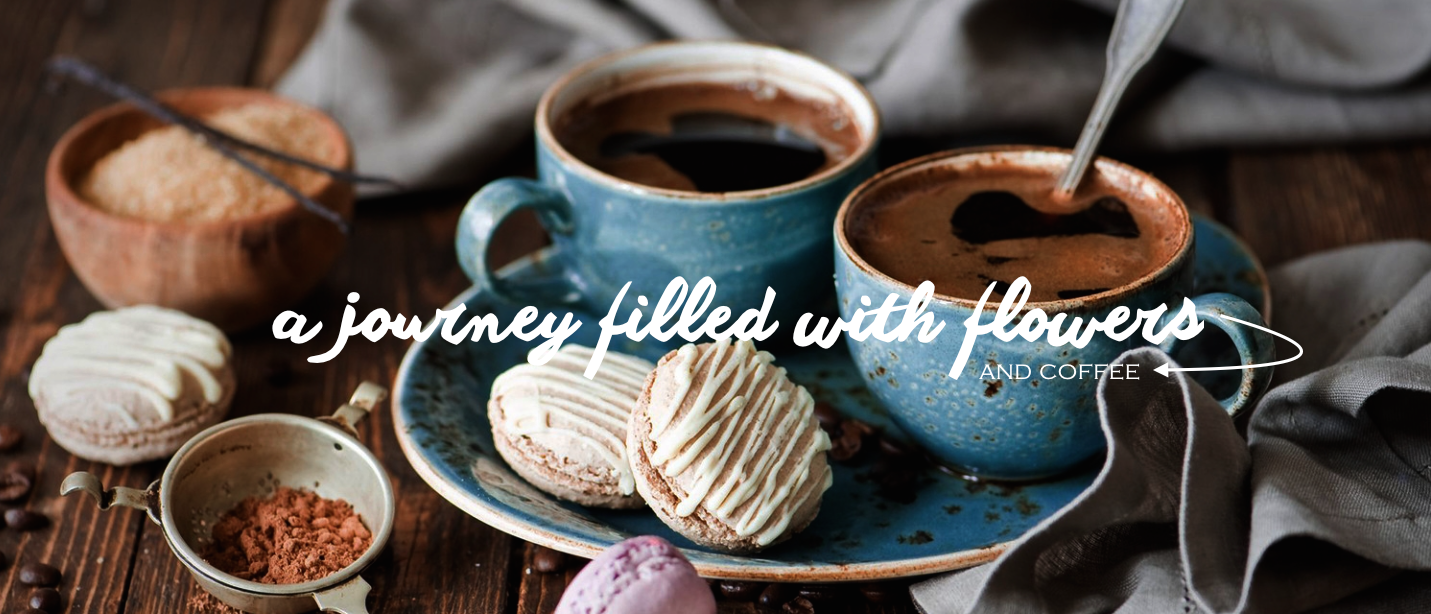 Screen Shot 2015-04-13 at 10.55.07 pm copy.png