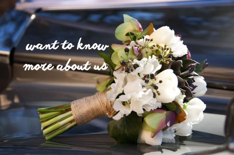 ER140 copy more about us.jpg