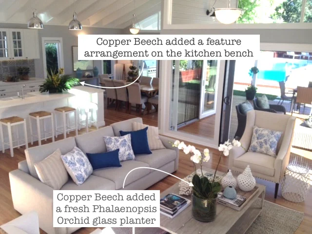 Fromelles9 lighter.jpeg