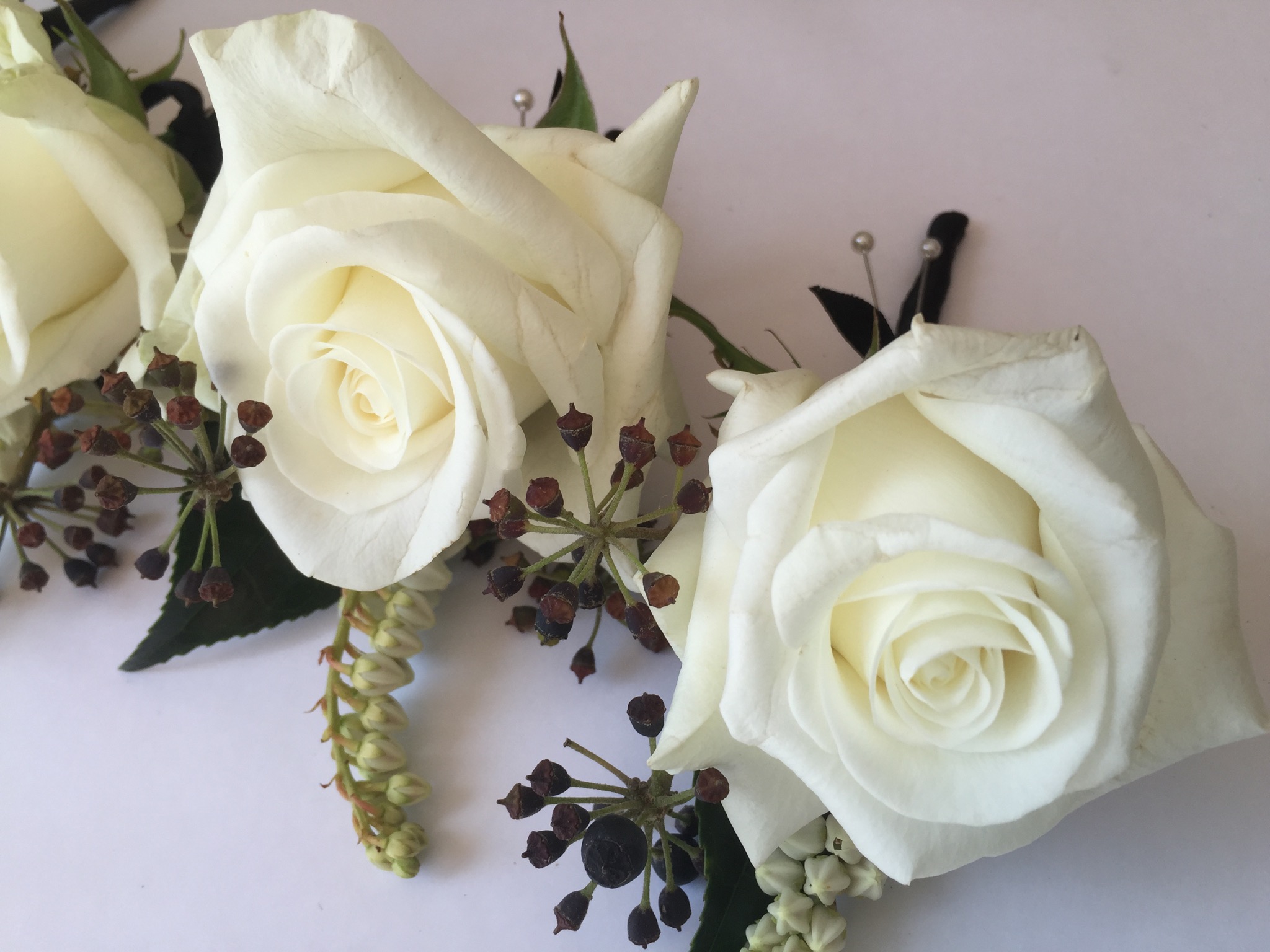 Buttonholes white.jpg