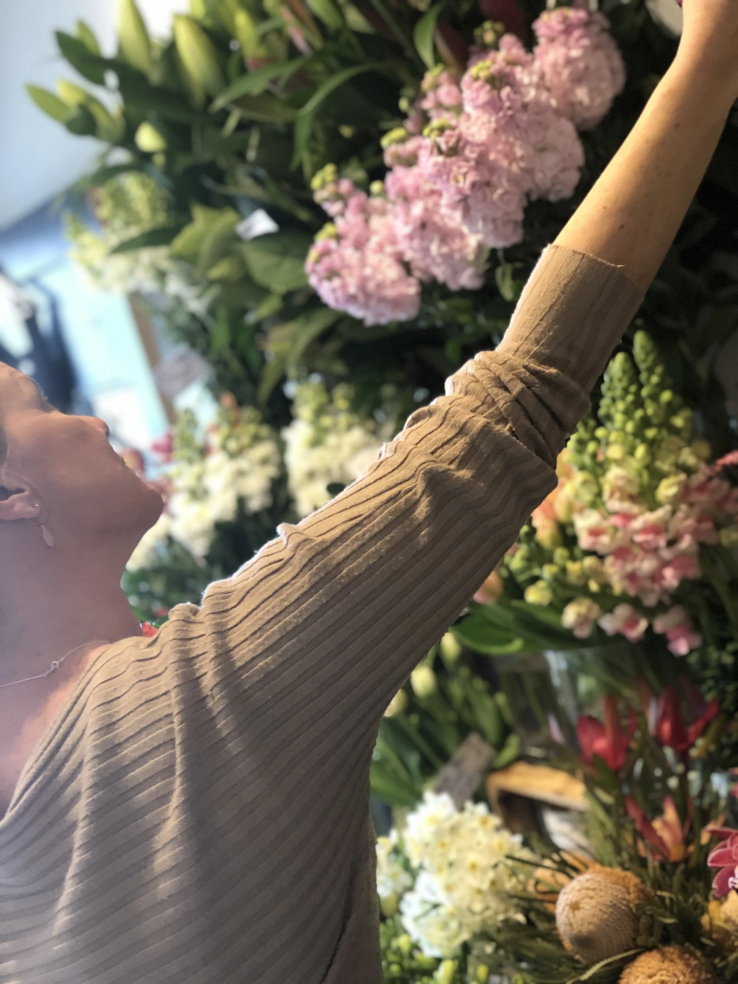 Northern Beaches Hospital Florist —