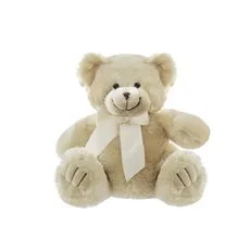 teddy bear for my valentine