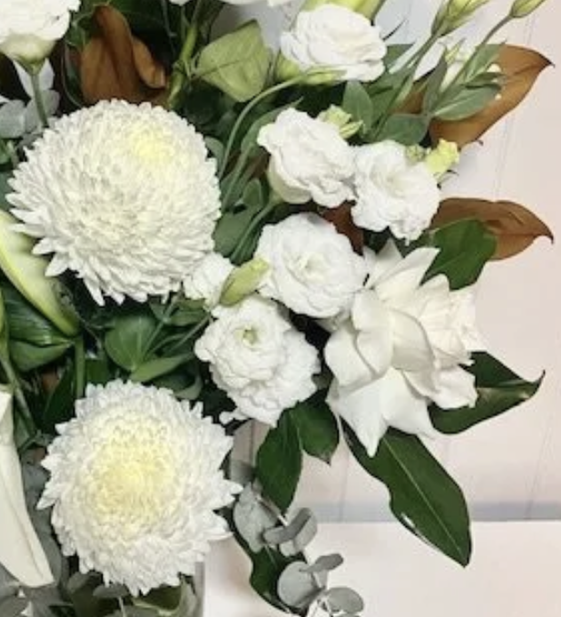 Screenshot 2026-04-24 at 12.04.01 pm.png