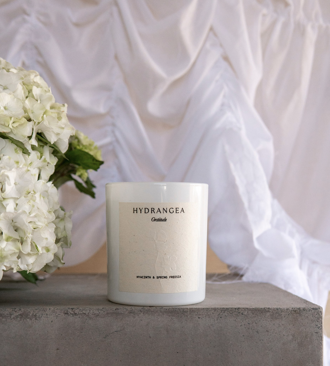 Screenshot 2026-01-19 at 12.01.14 PM.png