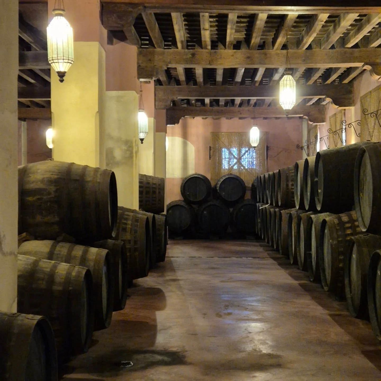 Towards the end of the summer, I was lucky enough to visit Spanish winemaking pioneer Alberto Orte at his winery at El Aljibe just outside Jerez.
 Dedicated to recovering and reviving almost extinct historical varieties, instrumental in the productio