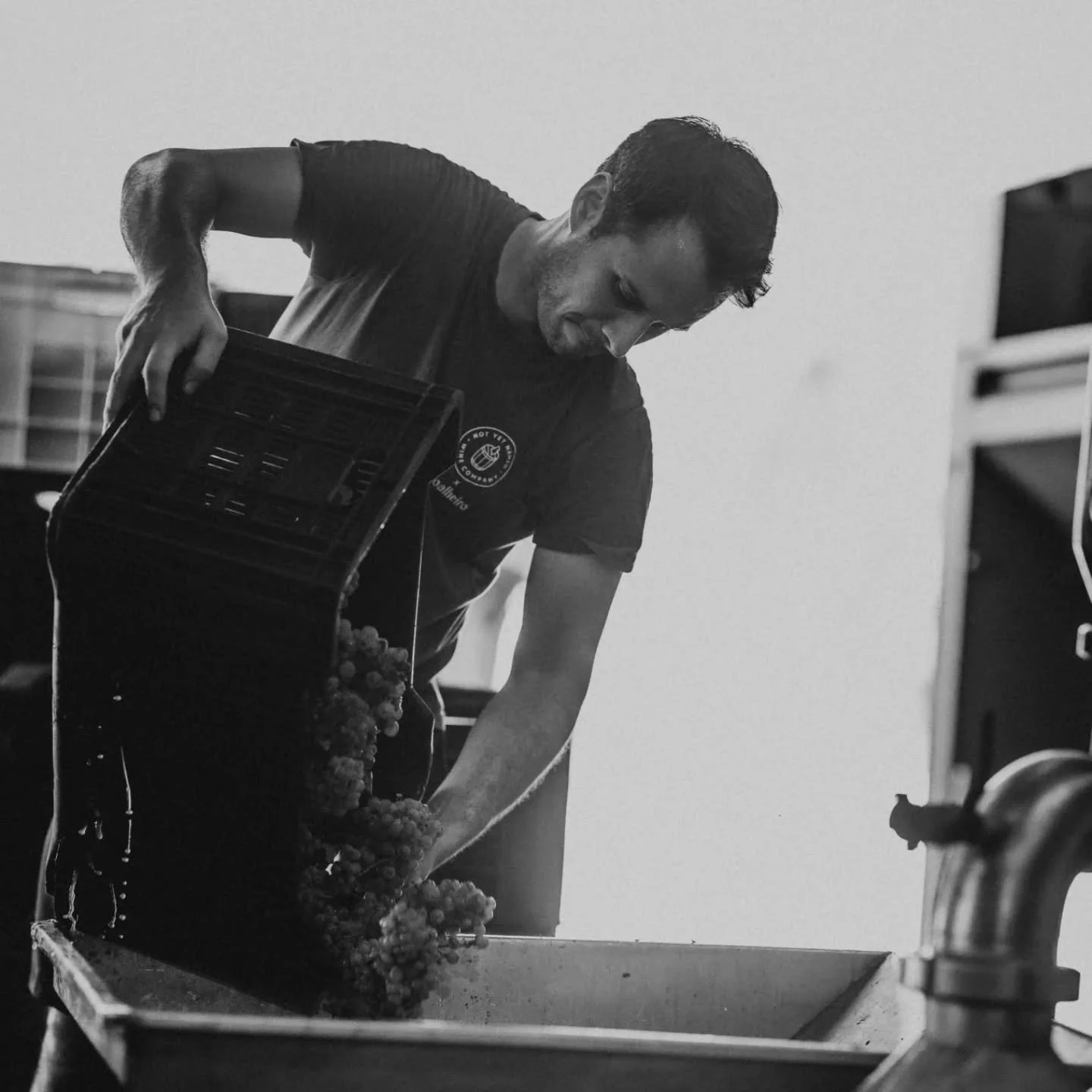 5th July Arrival at 1pm - 3pm 

Nomadic Wine Making: An afternoon with Alex Brogan from Not Yet Named Co.

A Sunday afternoon for all of you wine enthusiasts out there!

Join our good friend and co-founder,  Alex Brogan, for an afternoon of enjoyment