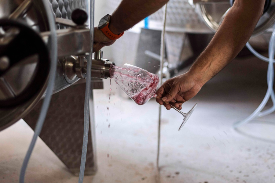 Tasting the Wines of Raul Moreno