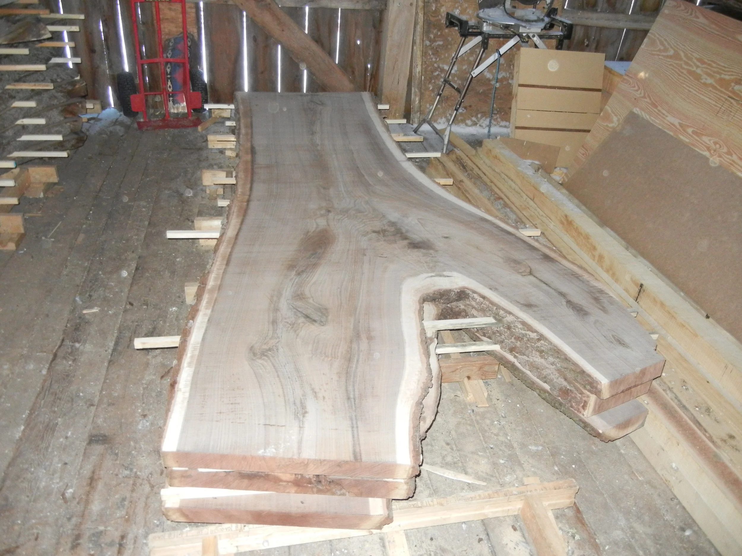 Large Black Walnut slabs being stacked for drying.