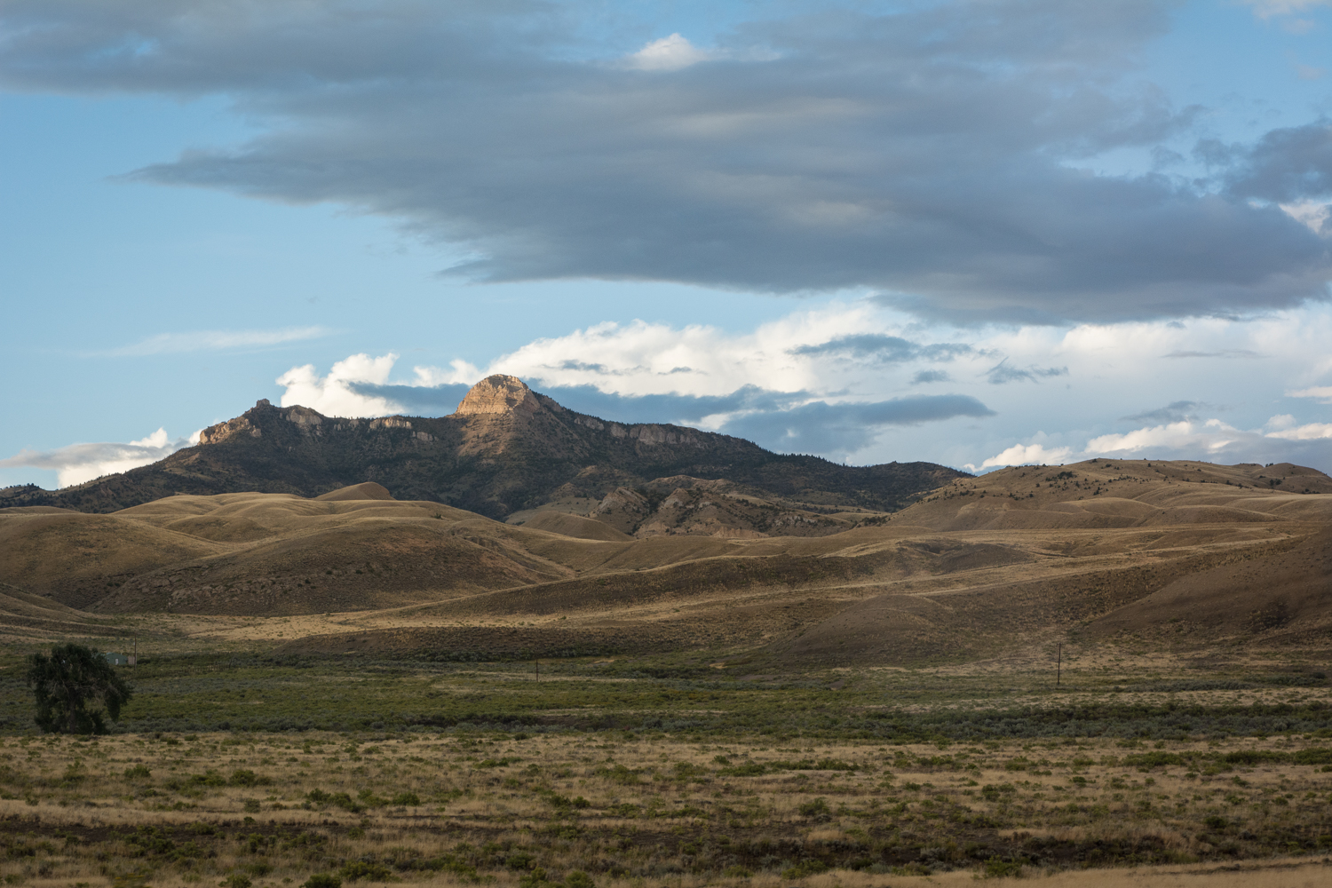 DSC_4936.jpg