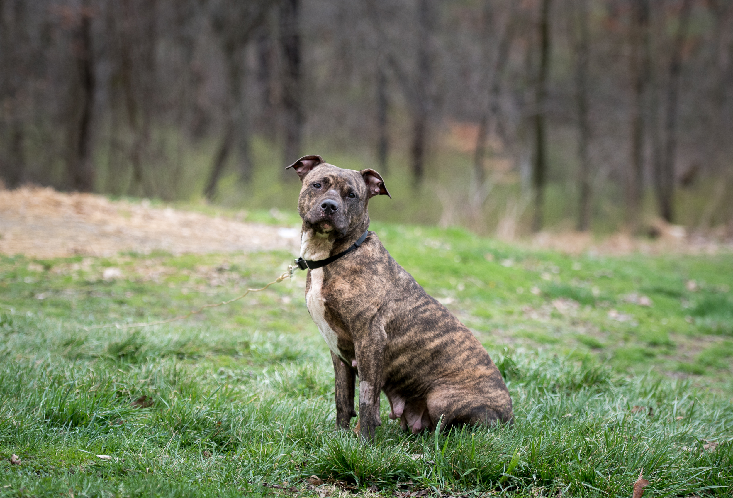 Bridgett-4224.jpg