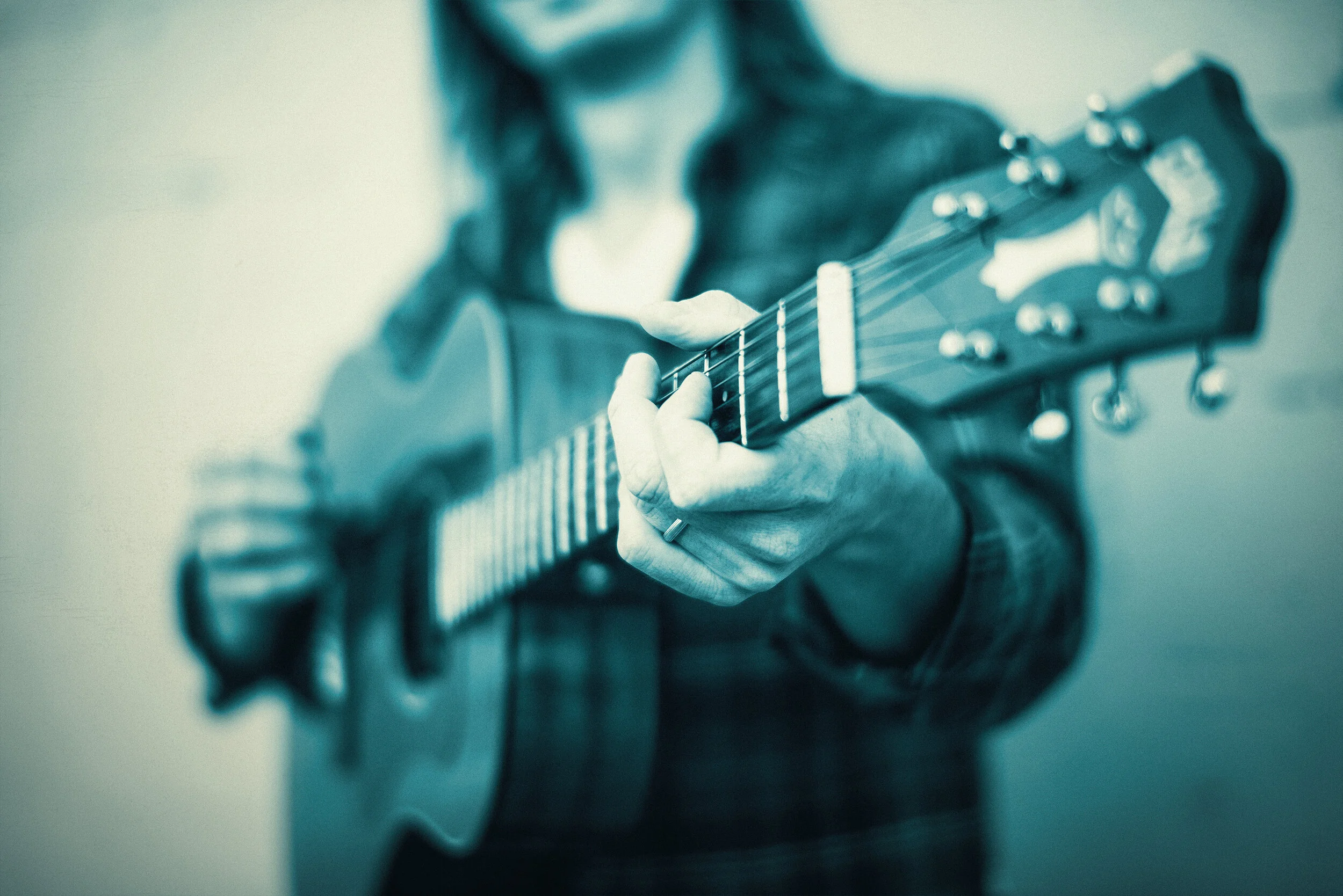 Guitar Neck w: Color Overlay.jpg