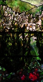 Closeup