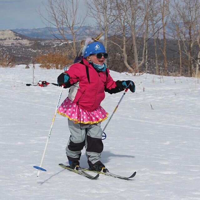 RMN U14 championships ended with a bang and costume relay&rsquo;s. So much fun packed into one weekend and so many smiles. #SNSC #RMN #U14championships #racefasthavefun