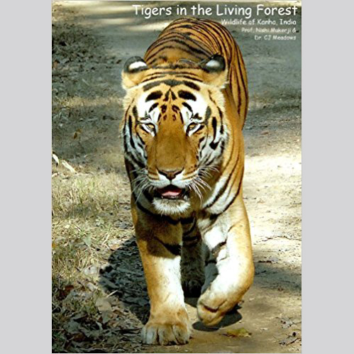 Tigers in the Living Forest: Wildlife of Kanha, India