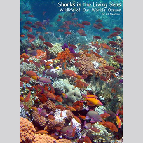 Sharks in the Living Seas: Wildlife of Our World's Oceans